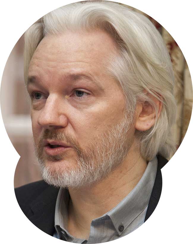 julian assange wikileaks seo inside